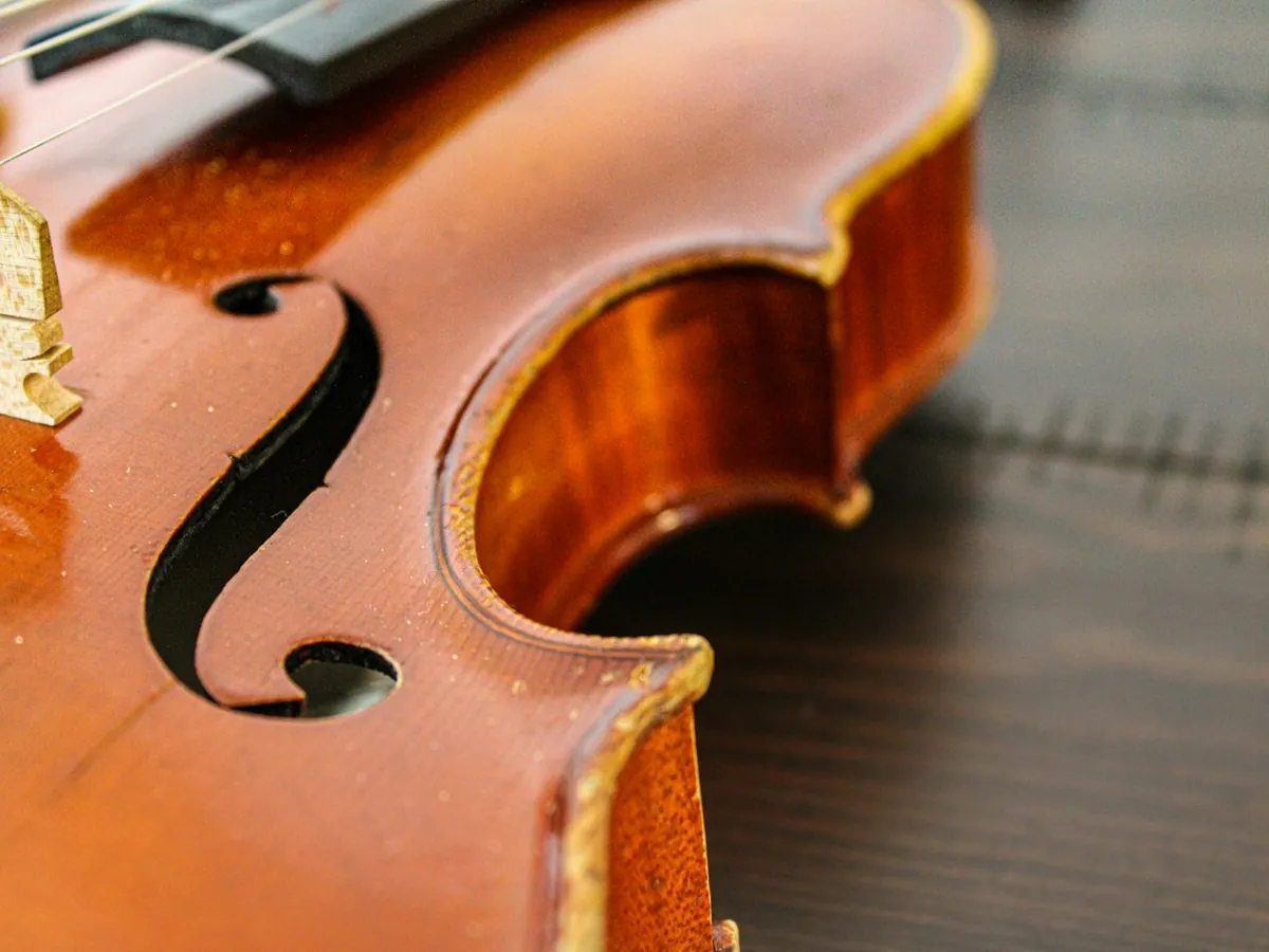 Pormenor de um violino envernizado em tom âmbar: o efe recortado no tampo, a borda com filete e a curva da ilharga, com o cavalete ao fundo